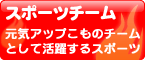 スポーツチーム
